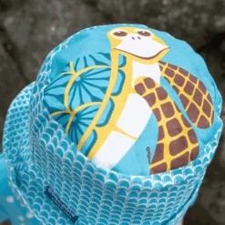 Bob tortue - Coq en Pâte