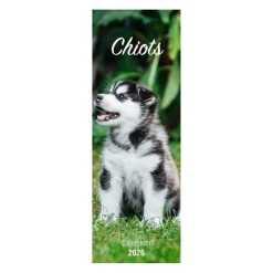 Calendrier Chiots 2026