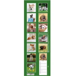 Calendrier Chiots 2026