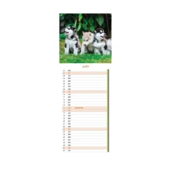 Calendrier Chiots 2026