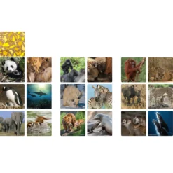 Jeu de paires famille animaux