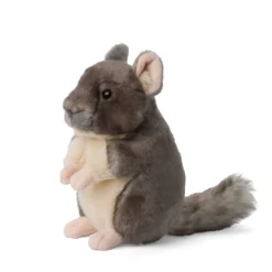 Peluche Chinchilla