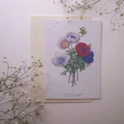 Set de correspondance biodiversité X5