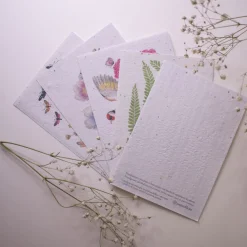 Set de correspondance biodiversité X5