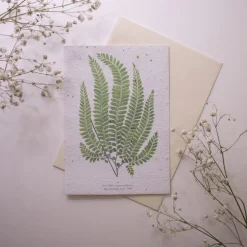 Set de correspondance biodiversité X5