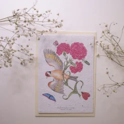 Set de correspondance biodiversité X5