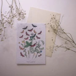 Set de correspondance biodiversité X5