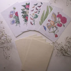 Set de correspondance biodiversité X5