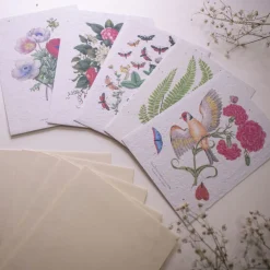 Set de correspondance biodiversité X5